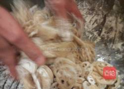 辣鲜莲藕片的做法图解3