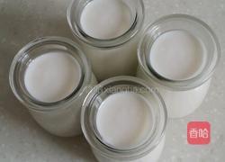 自制酸奶的做法图解12