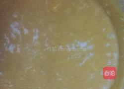 鲜芒果冰淇淋的做法图解4