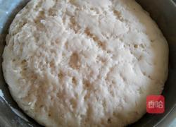 白面馒头的做法图解6