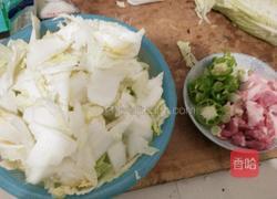 白菜炖肉的做法图解1