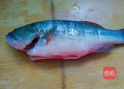 干蒸鲈鱼的做法图解1