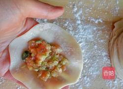 娃娃菜馅饺子的做法图解8