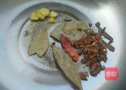 蘿卜牛腩煲的做法圖解2