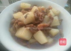 蘿卜牛腩煲的做法圖解11