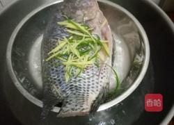 清蒸福寿鱼的做法图解7