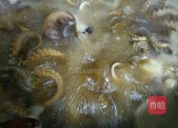 护心肉酱八爪鱼的做法图解9