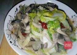 平菇娃娃菜的做法图解7