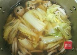灵芝菇肉丸汤的做法图解8
