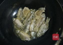 辣椒鱼仔的做法图解5