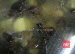 土豆蘑菇炖鸡的做法图解13