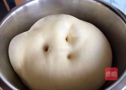 老酵头面包的做法图解9