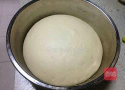 豆沙小餐包的做法图解5