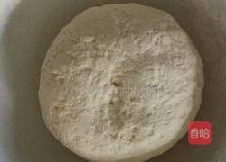 猪肉白菜水饺的做法图解1