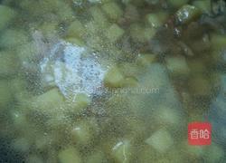 土豆鸡丁的做法图解5