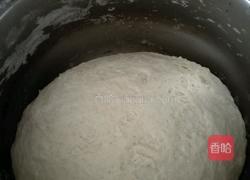 双色酱肉包子的做法图解2