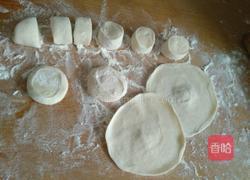 猪肉酸菜水饺的做法图解14