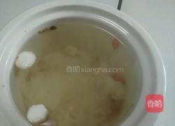 润肺羹的做法图解10