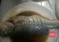 红烧鲈鱼的做法图解1