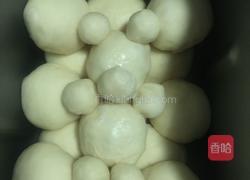 小熊宝宝面包的做法图解13