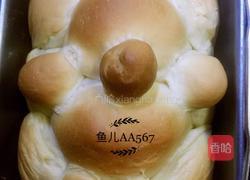 小熊宝宝面包的做法图解15