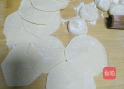 猪肉茴香饺子的做法图解10