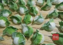 酱肉香菇馅白菜饺子的做法图解11