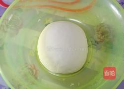 青萝卜猪肉饺子的做法图解1