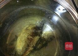 鲫鱼羊排汤的做法图解4