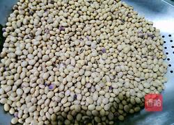 自制霉豆腐的做法图解9