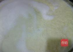 自制霉豆腐的做法图解10