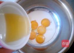 巧克力水果奶油蛋糕卷的做法图解4