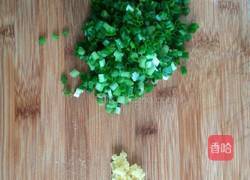 青萝卜猪肉饺子的做法图解3