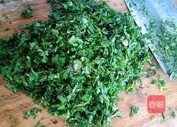 荠菜饺子馅的做法图解7