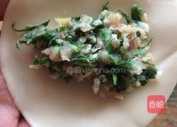 荠菜鲜肉饺的做法图解5