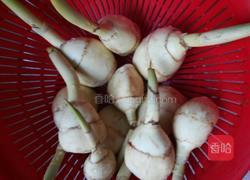 茨菇烧五花肉的做法图解1