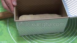 双色吐司的做法图解21