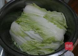 自制辣白菜的做法图解4