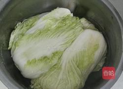 自制辣白菜的做法图解6