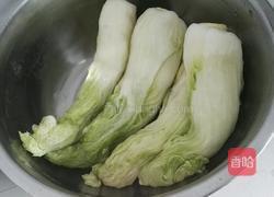 自制辣白菜的做法图解7