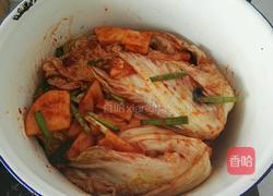 自制辣白菜的做法图解11