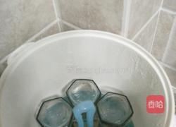 川贝陈皮柠檬膏的做法图解6