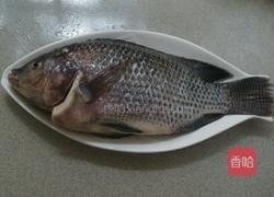 清蒸罗非鱼的做法图解1