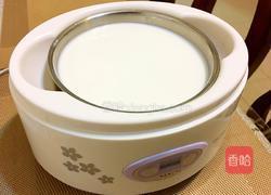 自制水果酸奶的做法图解2