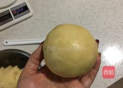 圣诞节饼干(蛋清糖霜方法)的做法图解8