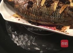 豆豉蒸罗非鱼的做法图解6