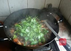 红烧羊排的做法图解15