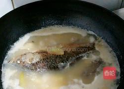 海参鲫鱼汤（下奶）的做法图解5