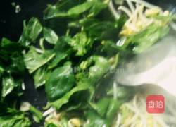 菠菜炒黄豆芽的做法图解5