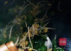 菠菜炒黄豆芽的做法图解6